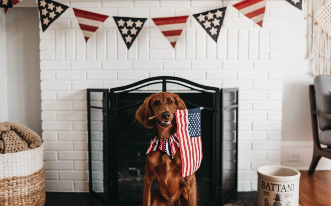 How to Make Your Fourth of July Celebration Pet-Friendly