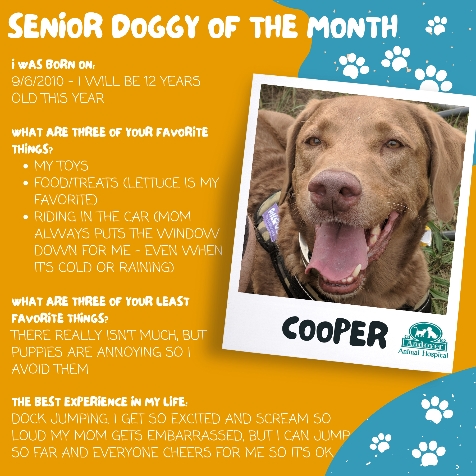 Senior Doggy of the month Jan 2022